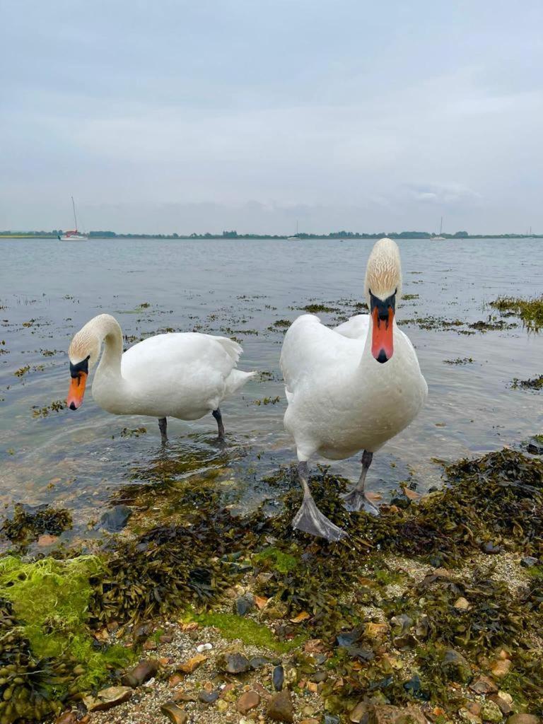 Sea Breeze Ark 900 Otel Emsworth Dış mekan fotoğraf